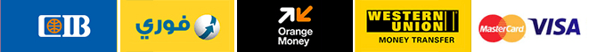 Visa · Mastercard · mada · Apple Pay · Fawry · Meeza · Vodafone Cash · InstaPay